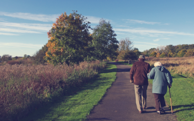 Afore vs. Plan de Retiro: ¿Cuál es la mejor opción para ti?